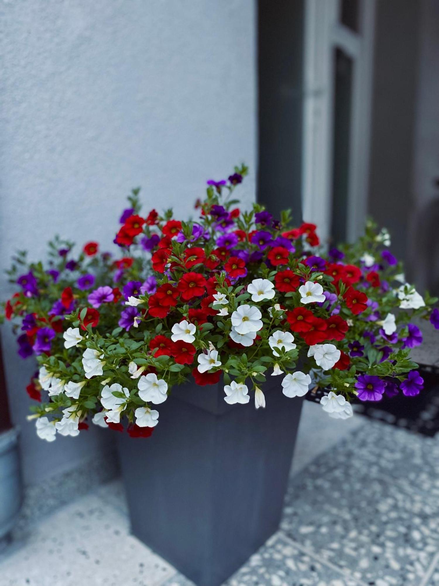 קומאנובו Greenhill Apartments מראה חיצוני תמונה