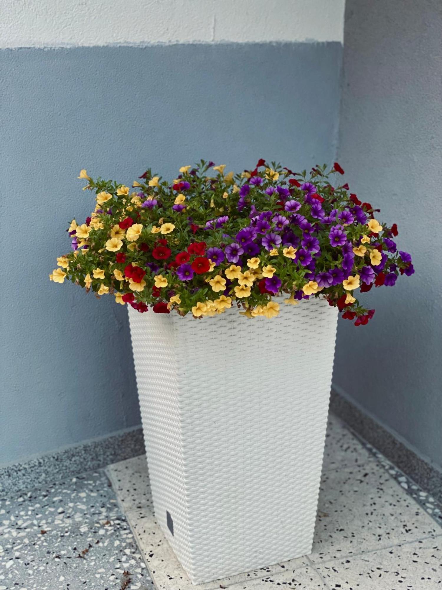 קומאנובו Greenhill Apartments מראה חיצוני תמונה